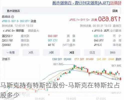 馬斯克持有特斯拉股份-馬斯克在特斯拉占股多少