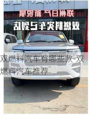 雙燃料汽車有哪些款-雙燃料汽車推薦