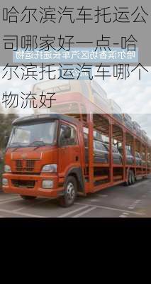 哈爾濱汽車(chē)托運(yùn)公司哪家好一點(diǎn)-哈爾濱托運(yùn)汽車(chē)哪個(gè)物流好