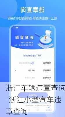 浙江車輛違章查詢-浙江小型汽車違章查詢