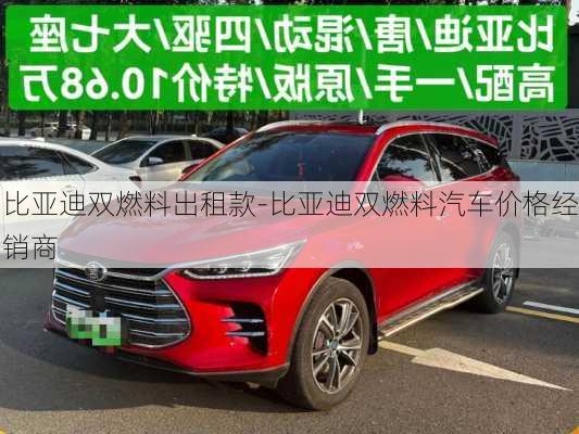 比亞迪雙燃料出租款-比亞迪雙燃料汽車價格經(jīng)銷商