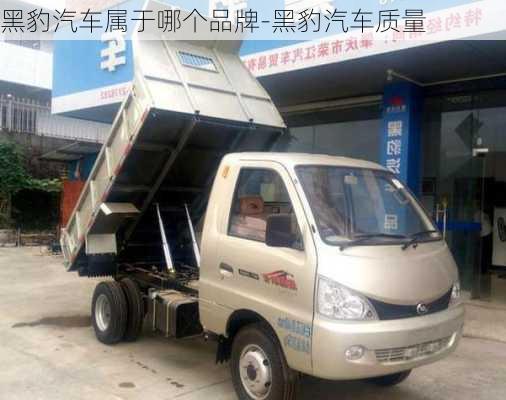 黑豹汽車屬于哪個(gè)品牌-黑豹汽車質(zhì)量