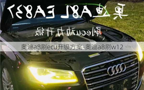 奧迪a8刷ecu升級(jí)方案-奧迪a8刷w12