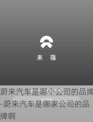 蔚來汽車是哪個(gè)公司的品牌-蔚來汽車是哪家公司的品牌啊