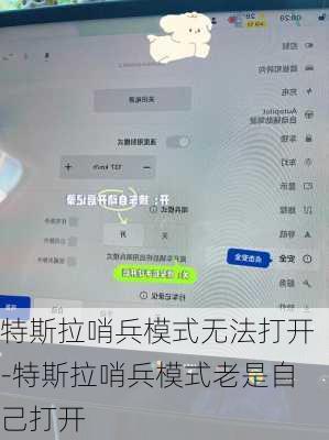 特斯拉哨兵模式無法打開-特斯拉哨兵模式老是自己打開