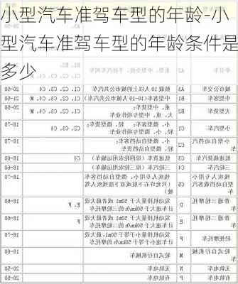 小型汽車準駕車型的年齡-小型汽車準駕車型的年齡條件是多少