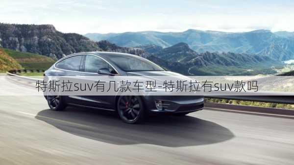 特斯拉suv有幾款車型-特斯拉有suv款嗎