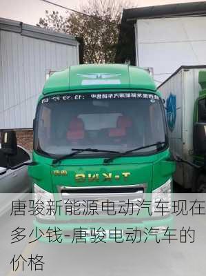 唐駿新能源電動(dòng)汽車現(xiàn)在多少錢-唐駿電動(dòng)汽車的價(jià)格