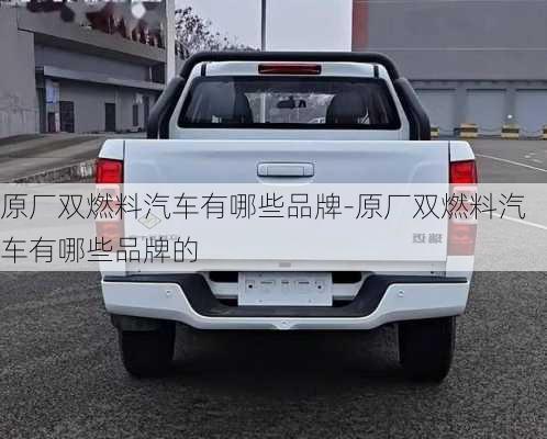 原廠雙燃料汽車有哪些品牌-原廠雙燃料汽車有哪些品牌的