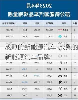 成熟的新能源汽車-成熟的新能源汽車品牌