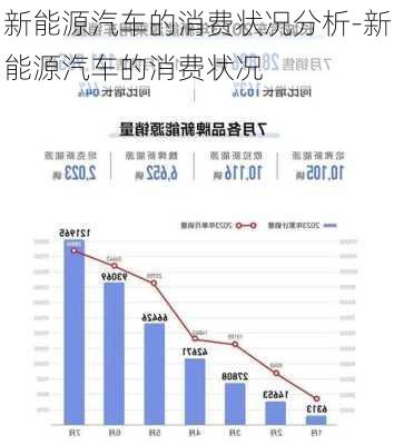 新能源汽車的消費狀況分析-新能源汽車的消費狀況