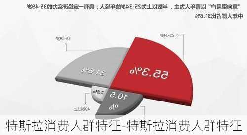 特斯拉消費(fèi)人群特征-特斯拉消費(fèi)人群特征