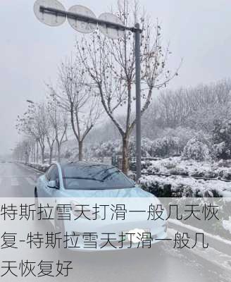 特斯拉雪天打滑一般幾天恢復(fù)-特斯拉雪天打滑一般幾天恢復(fù)好