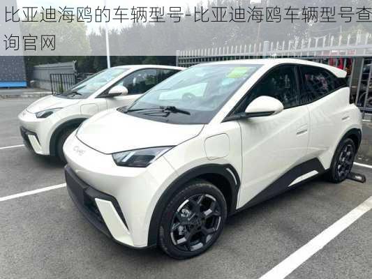 比亞迪海鷗的車輛型號-比亞迪海鷗車輛型號查詢官網(wǎng)