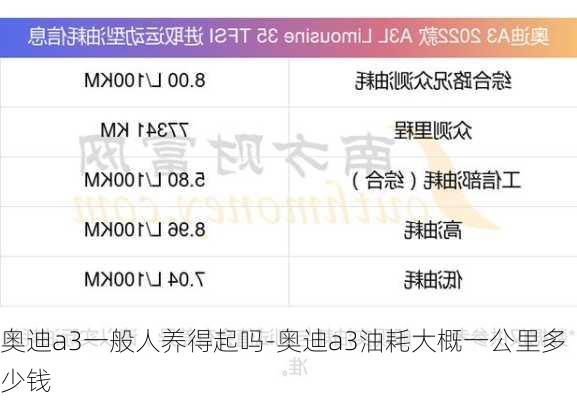 奧迪a3一般人養(yǎng)得起嗎-奧迪a3油耗大概一公里多少錢