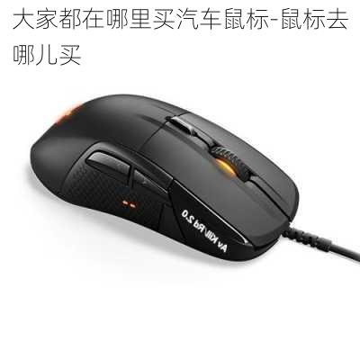 大家都在哪里買汽車鼠標(biāo)-鼠標(biāo)去哪兒買