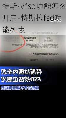 特斯拉fsd功能怎么開啟-特斯拉fsd功能列表