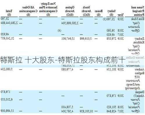 特斯拉 十大股東-特斯拉股東構(gòu)成前十