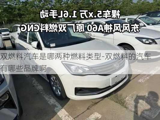 雙燃料汽車是哪兩種燃料類型-雙燃料的汽車有哪些品牌啊