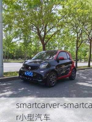 smartcarver-smartcar小型汽車