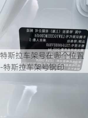 特斯拉車架號(hào)在哪個(gè)位置-特斯拉車架號(hào)鋼印