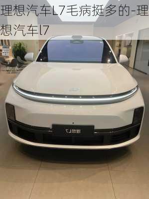 理想汽車L7毛病挺多的-理想汽車l7