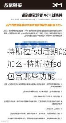 特斯拉fsd后期能加么-特斯拉fsd包含哪些功能