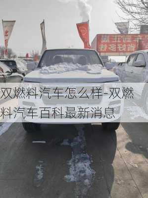 雙燃料汽車怎么樣-雙燃料汽車百科最新消息