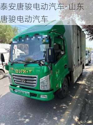 泰安唐駿電動汽車-山東唐駿電動汽車