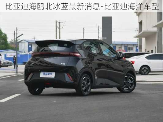 比亞迪海鷗北冰藍(lán)最新消息-比亞迪海洋車型