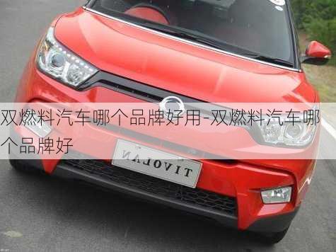 雙燃料汽車哪個品牌好用-雙燃料汽車哪個品牌好