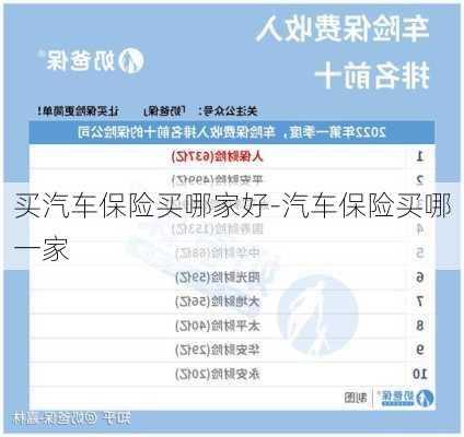 買(mǎi)汽車(chē)保險(xiǎn)買(mǎi)哪家好-汽車(chē)保險(xiǎn)買(mǎi)哪一家