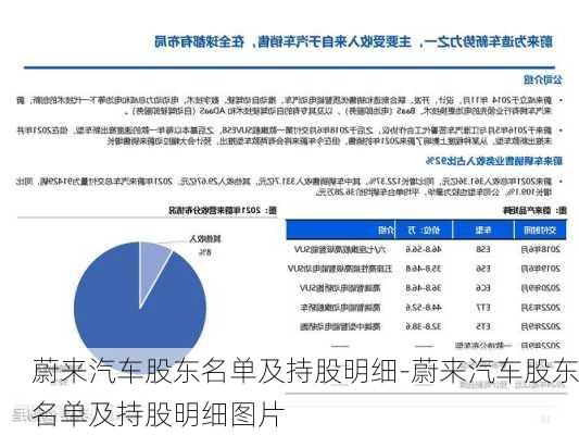 蔚來(lái)汽車股東名單及持股明細(xì)-蔚來(lái)汽車股東名單及持股明細(xì)圖片