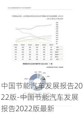 中國節(jié)能汽車發(fā)展報(bào)告2022版-中國節(jié)能汽車發(fā)展報(bào)告2022版最新