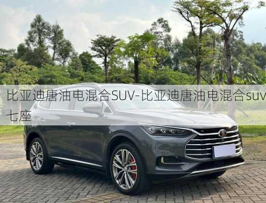 比亞迪唐油電混合SUV-比亞迪唐油電混合suv七座