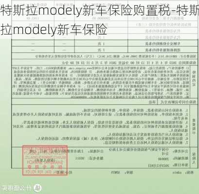 特斯拉modely新車保險購置稅-特斯拉modely新車保險