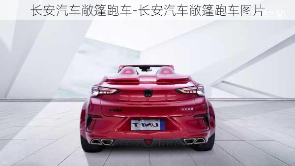 長(zhǎng)安汽車(chē)敞篷跑車(chē)-長(zhǎng)安汽車(chē)敞篷跑車(chē)圖片