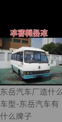 東岳汽車廠造什么車型-東岳汽車有什么牌子