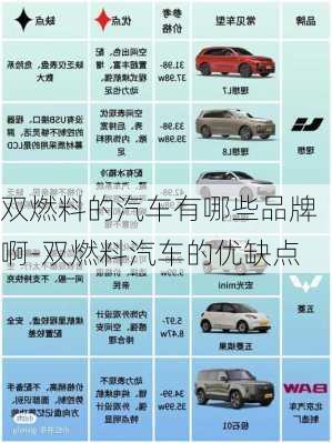 雙燃料的汽車有哪些品牌啊-雙燃料汽車的優(yōu)缺點