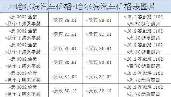 哈爾濱汽車價(jià)格-哈爾濱汽車價(jià)格表圖片