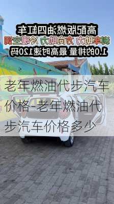 老年燃油代步汽車價格-老年燃油代步汽車價格多少