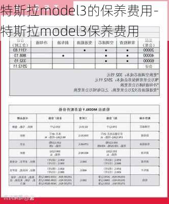 特斯拉model3的保養(yǎng)費(fèi)用-特斯拉model3保養(yǎng)費(fèi)用