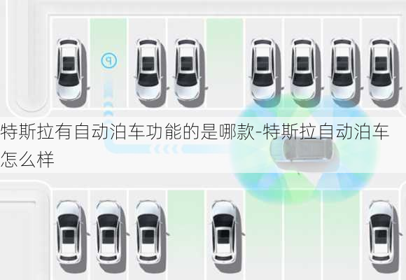 特斯拉有自動泊車功能的是哪款-特斯拉自動泊車怎么樣