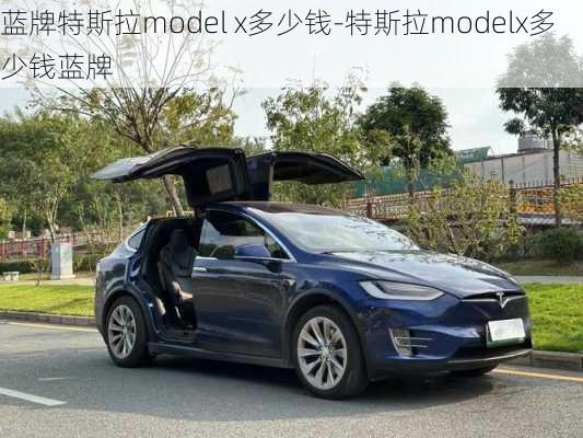 藍牌特斯拉model x多少錢-特斯拉modelx多少錢藍牌