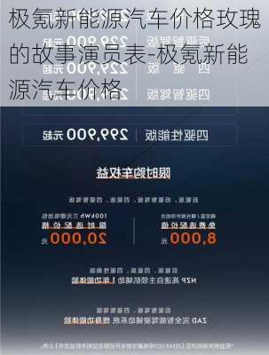 極氪新能源汽車價格玫瑰的故事演員表-極氪新能源汽車價格