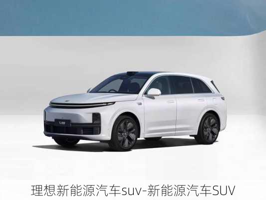 理想新能源汽車suv-新能源汽車SUV