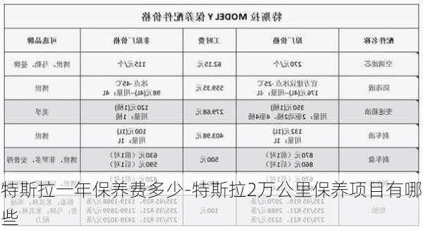 特斯拉一年保養(yǎng)費(fèi)多少-特斯拉2萬(wàn)公里保養(yǎng)項(xiàng)目有哪些