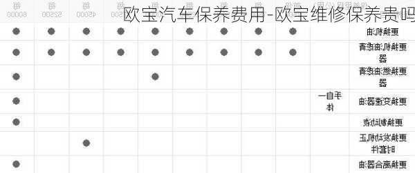 歐寶汽車保養(yǎng)費(fèi)用-歐寶維修保養(yǎng)貴嗎