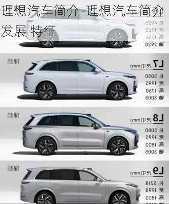 理想汽車簡(jiǎn)介-理想汽車簡(jiǎn)介 發(fā)展 特征