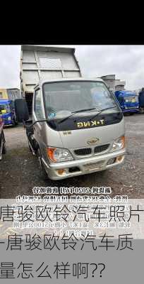 唐駿歐鈴汽車照片-唐駿歐鈴汽車質(zhì)量怎么樣啊??